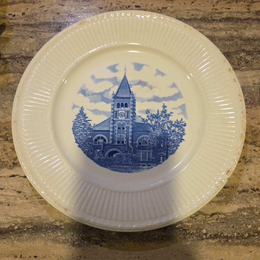 Wedgwood Blue and Cream Dinner Plate